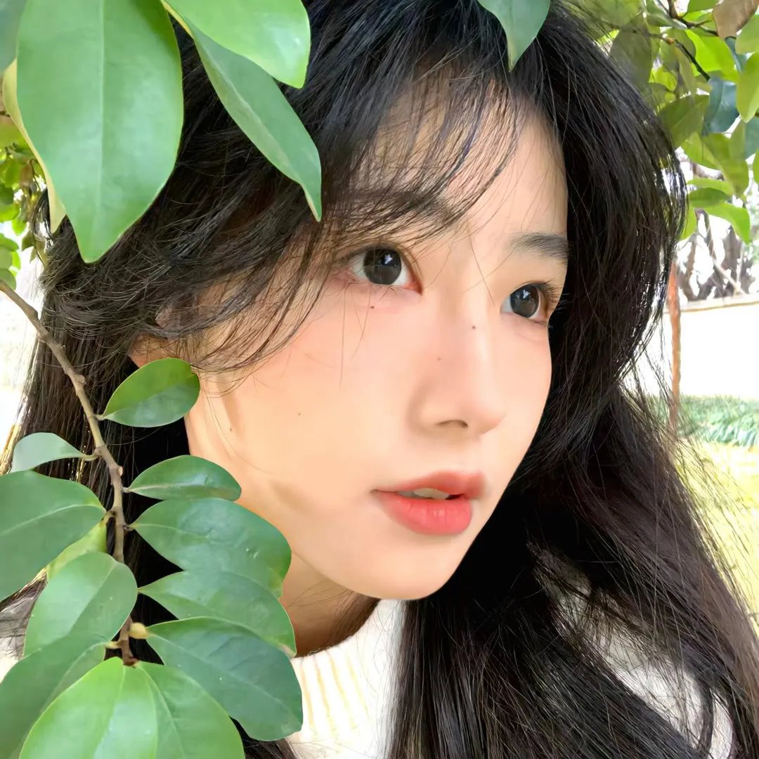 京都太秦物语